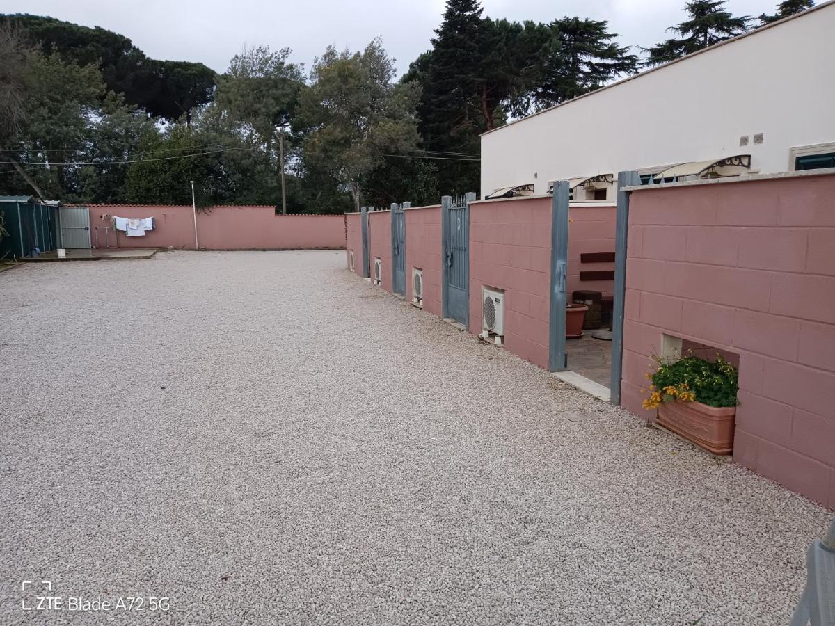 La Tenuta Del Passero Le Ferriere Eksteriør billede